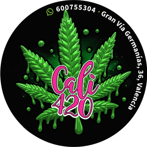 cannabis valencia 420 - club cannabico cali 420 valencia