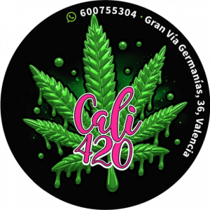 cannabis valencia 420 - club cannabico cali 420 valencia